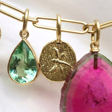 Load image into Gallery viewer, DRAGONFLY TOKEN