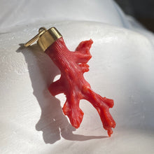 Load image into Gallery viewer, CORAL PENDANT