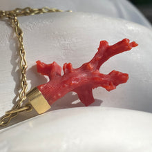 Load image into Gallery viewer, CORAL PENDANT