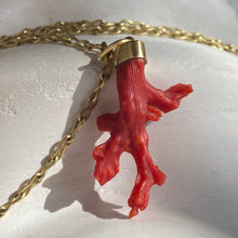 Load image into Gallery viewer, CORAL PENDANT